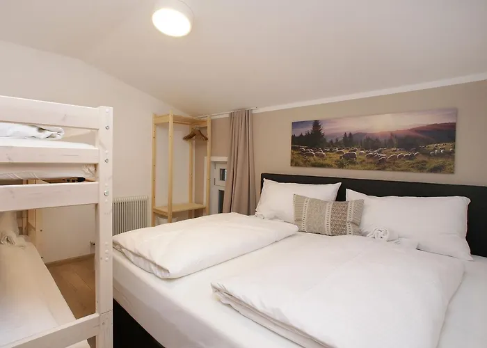 木屋 Zeller Moos 滨湖采尔